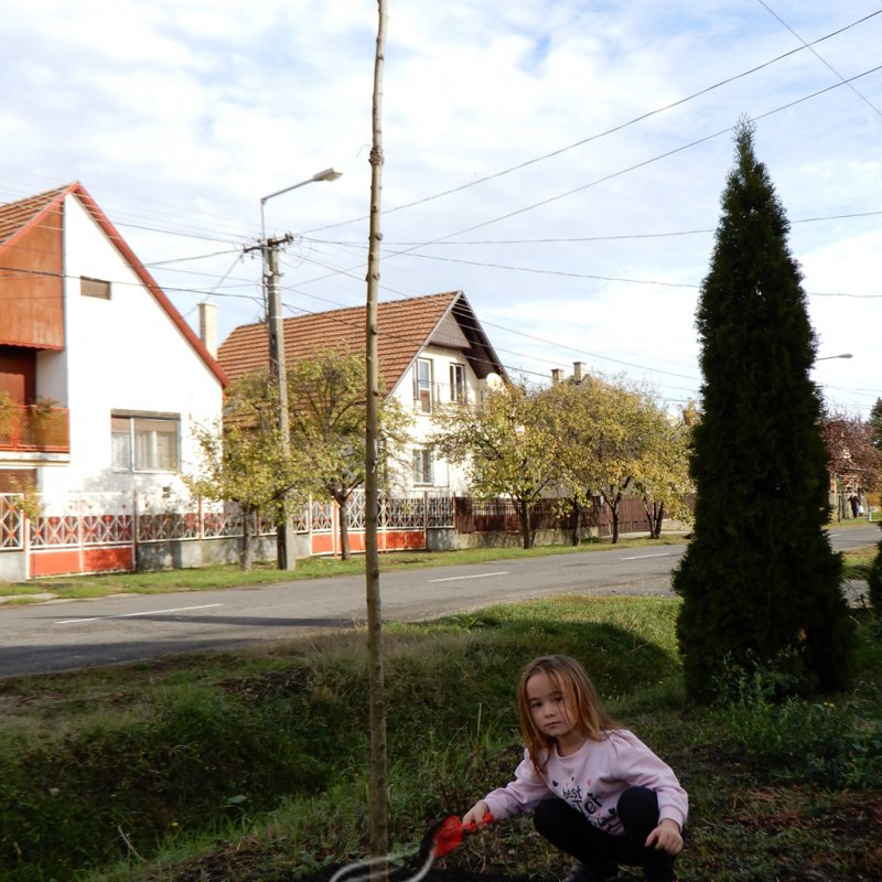 Közösségi faültetés Berettyóújfaluban 61